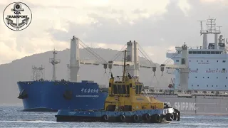 COMPILATION SHIPSPOTTING BRAZILIAN PORTS (#101 to #125) #150