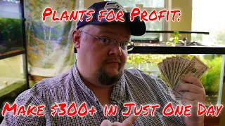 How to Make $300 or More in a Day Selling Aquatic Plants - Plants for Profit!