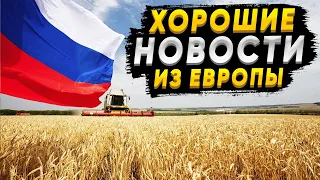 Знали на что ИДУТ! Россия увеличивает экспорт зерна на мировые рынки