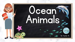 Ocean Animals