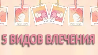 5 ВИДОВ ВЛЕЧЕНИЯ, КОТОРЫЕ ВЫ МОЖЕТЕ ИСПЫТАТЬ В ЖИЗНИ! Psych2go на русском.