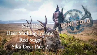 S 10 E2 European red stag and sika deer: Deer stalking in Ireland for red stags and sika deer.