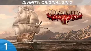 Прохождение Divinity: Original Sin 2 - Начало Путешествия - #1 (16+)