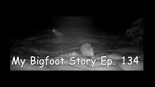 My Bigfoot Story Ep  134   Bigfoot Trail Cams December