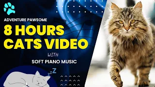 Cat TV for Cats to Watch 😺 8 Hours Cats with Soft Piano Music