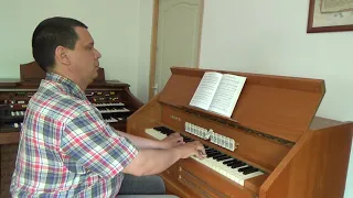 All Hail The Power Of Jesus' Name - Organist Bujor Florin Lucian playing on Lindholm Reed Organ