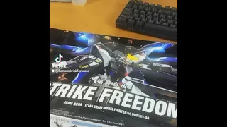 Bootleg Gundam From Aliexpress