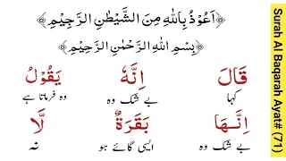 Surah Al Baqarah Ayat # 71 | Quran Majeed Ka Full Urdu Tarjuma | قرآن مجید کا مکمل لفظی اردو ترجمہ