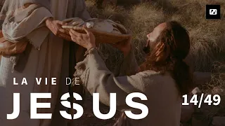 Jésus nourrit 5000 personnes | La vie de Jésus | 14/49