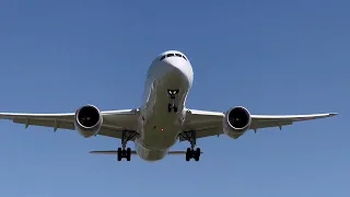 伊丹空港　離着陸の眺めが凄すぎた！　圧巻の迫力で旅客機が頭上を飛んでいく　穴場スポット千里川土手