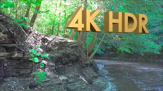 4K HDR-Classical Music(Mozart, Beethoven, Bizet, Handel, Grieg, Tchaikovsky)-Summer River and Forest