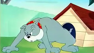 tom and jerry frame cat part 2