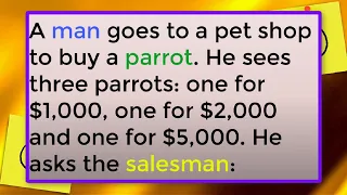 The Adventures of Parrots🦜: Funny Anecdotes from the Bird World!