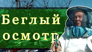 Беглый осмотр ульев. Цикл "На пасеке весной..."