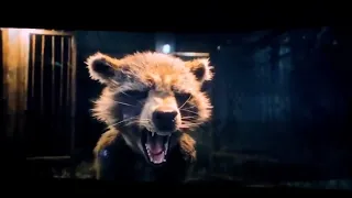 Rocket scream after layla death scene | Guardians of the galaxy vol.3 |