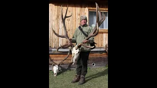 Hunting Maral (Wapiti) in Kazakhstan   Part Two