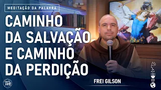 Caminho da Salvação e caminho da perdição | (Mt 16, 24-28) #836- Meditação da Palavra