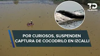 Cocodrilo de Cuautitlán Izcalli burla trampas y suspenden su captura