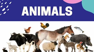 ЖИВОТНЫЕ НА АНГЛИЙСКОМ ЯЗЫКЕ //УЧИМ НАЗВАНИЯ ЖИВОТНЫХ НА АНГЛИЙСКОМ// NAMES OF ANIMALS