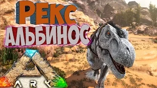 ARK SCORCHED EARTH ֍ Приручаем Рекса Альбиноса #26 [60fps/1440p]