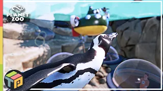 Starting a MASSIVE new Penguin Habitat   | Tiguidou Zoo | Planet Zoo