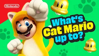 Mario’s Cat-Tastic Day 💪 | All about Cat Mario Ep 1 | @playnintendo​