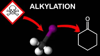 Alkylation of Cyclohexanone
