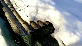 зимовка пчел на воле, конец зимовки, показываю основной точок в начале марта