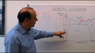 3.1 | MSE104 - Eutectic Solidification