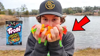 Fishing With Gummy Worms (Will Fish Eat Candy???)