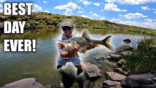 My Biggest Yellowfish (Salmo)  - SECRET RIVER