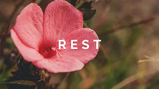 Relaxing Guitar Music for Stress Relief, Calm, Study, Work | 1 Hour