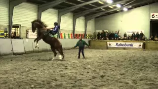 Gert van den Hof Zadelmak maken deel 3 manege Bakker