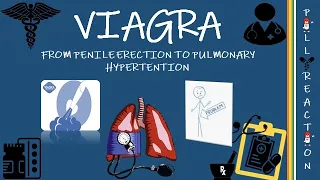 Viagra, how it works? |Mechanism of action| side effects.