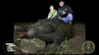 AVISTADO no dia, ABATIDO na noite - [CAÇADA DE JAVALI]