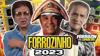 🔴FORROZINHO E❌️CLUSIVO DOS CLASSICOS 2023/OS MAIS TOCADOS NO BRASIL #nordeste #luizgonzaga #paredão