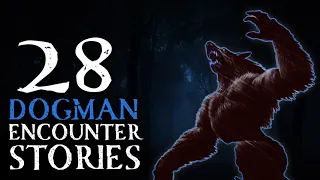 28 SCARY DOGMAN AND WEREWOLF ENCOUNTER STORIES - ROUGAROU, WEREWOLVES AND DOGMAN