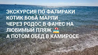 ЭКСКУРСИЯ ПО ФАЛИРАКИ. КОТИК БОБА МАРЛИ. КАЛИФЕЯ. ФАНЕС. МОРСКИЕ ВКУСНОСТИ И МОРЕ. 2022. ОКТЯБРЬ.