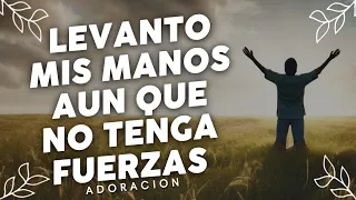 Alabanzas Que Traen Bendiciones A Tu Casa - Himnos Cristianos - Musica Cristiana y Coros Mix