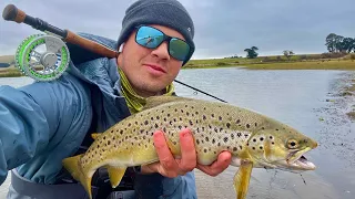 Hepburn Lagoon Brown and Rainbow Trout on Streamers!