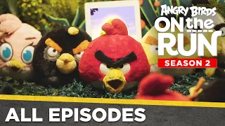 Angry Birds On The Run S2 | All Episodes