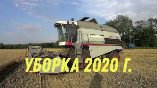 ДОЖДЬ В УБОРКУ ОЗИМОЙ ПШЕНИЦЫ 2020!!!АКРОС580 ВЕКТОР410!!!