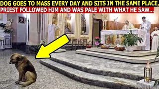 Dog Goes to Mass Every Day and Refuses to Leave, Priest Decides to Follow and Find Out the Reason...