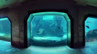 The Dig Observatory at Atlantis, Paradise Island, Bahamas in 360 degrees