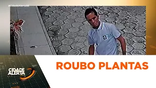 Homem é flagrado roubando rosas no bairro Inácio Barbosa em Aracaju - CA