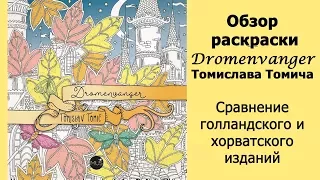 Обзор раскраски Dromenvanger Томислава Томича