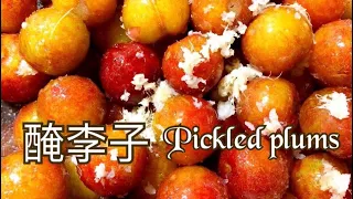 古早味醃李子/夜市醃李子怎麼做？/Pickled plums