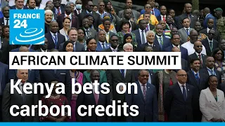 Kenya bets on carbon credits as it hosts African climate summit • FRANCE 24 English