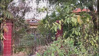 Overwhelmed with the abandoned villa, overgrown with trees, cleaned up - strangely satisfying