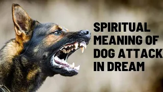 Spiritual Meaning Of Dog Attack In Dream